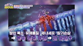 현대 질병의 원인 '활성산소' 방치하면 암을 유발한다😱! | 이츠 마이 라이프 2회 | JTBC 221012 방송