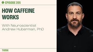 What Caffeine Does to Your Body with Dr Andrew Huberman | The Proof Podcast EP 205