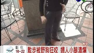 流浪狗亂咬人! 全台已經發生多起