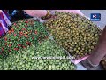 कस्तो छ तरकारीको मूल्य today vegetable rate nepal kalimati tarkari bazar price today