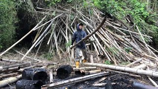 荒廃した孟宗竹林の整備2年目の野焼き～枯竹山を切り崩す・もうセミが鳴いてる2023/07/17-01