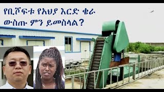 የቢሾፍቱ የአህያ እርድ ቄራ ውስጡ ምን ይመስላል? Donkey abattoir controversy in Ethiopia