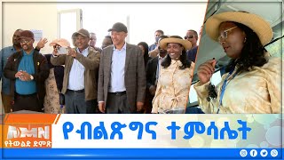 የብልጽግና ፓርቲ የስራ አስፈጻሚ ኮሚቴ አባላት በአዲስ አበባ ከተማ ያደረጉት ጉብኝት