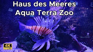 Full Tour of Haus des Meeres – Sharks, Rainforest, and Stunning Views in Vienna!