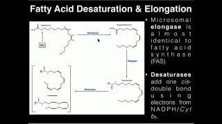 PUFAs: Fatty Acid Elongation and Desaturation