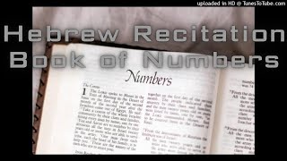 Torah | Numbers Hebrew Recitation | תורה | מספרים דקלום עברי