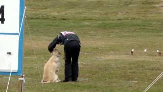 日本訓練ＣＨ2012（デコ選別2回戦－３）