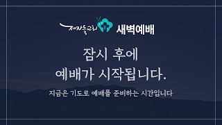 [새벽예배] 2025년 1월 9일 (여호수아 6장 8-27절)