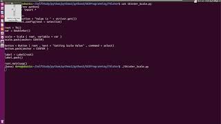 python2 gui tkinter , Scale