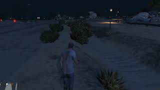 GTA5: Abandoned Vehicle: BF Surfer