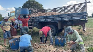 2 caminhões Mercedes vieram buscar hoje mandioca na paraiba pra levar para rio grande do norte