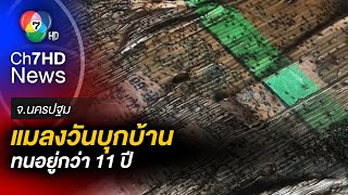 ชาวบ้านสุดทน แมลงวันบุกบ้าน ผลกระทบฟาร์มเป็ด ทนอยู่มา 11 ปี จ.นครปฐม