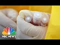 FDA authorizes use of antimalarial drugs for coronavirus treatment | NBC Nightly News