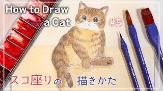 リラックス感たっぷり！スコ座りネコを描いてみよう【水彩イラスト】🎨🐈