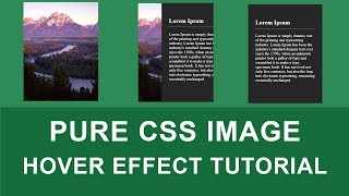 Pure CSS Image Hover Effect Design Tutorial #1