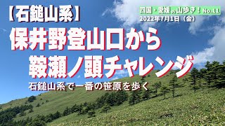 【石鎚山系　保井野登山口～鞍瀬ノ頭チャレンジ】　石鎚山系で一番の笹原を歩く！2022/7/1