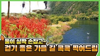 [힐링전북] 가을바람 솔솔_전북의 걷기 좋은 길 #가을 #길 #혼자_둘 #다좋아 #가을여행