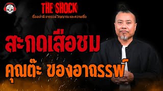 สะกดเสือชม คุณต๊ะ ของอาถรรพ์ l TheShock13