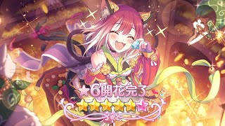 【プリコネ】タマキ星6開放クエ