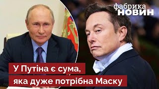 🔥Шейтельман: Ілон Маск – шпигун, який провалив завдання Путіна. Він працював за великі гроші