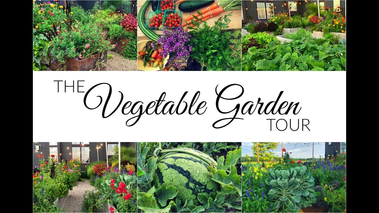 Vegetable Garden Tour Harvest September Youtube