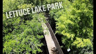 Exploring Lettuce Lake Park