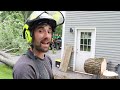 felling trees near buildings how to