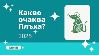 Какво очаква Плъха през 2025