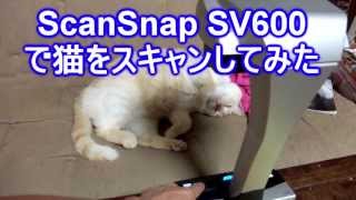 ScanSnap SV600で猫をスキャンしてみた