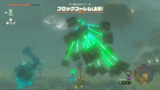 ブロックゴーレム（上等）戦 　[ ゼルダの伝説 ティアーズ オブ ザ キングダム ]