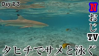 タヒチではサメと泳ぐことは日常です　ホリデーDay2-3