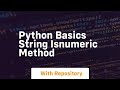Python basics string isnumeric method