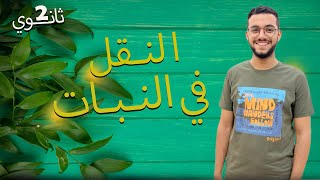 تركيب الأسطوانة الوعائية ..(النقل فى النبات) 🌿🌿