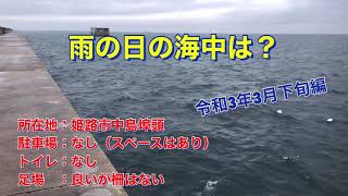 雨の日魚はどうしているのか？姫路市　中島埠頭　海中を撮影して見た