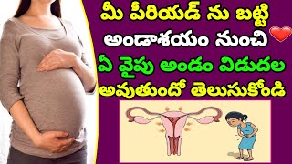 గర్భం త్వరగా రావాలంటే ఏ అండాశయం మంచిది | Which Ovary Best for Fast Pregnancy | Tips to Get Pregnant