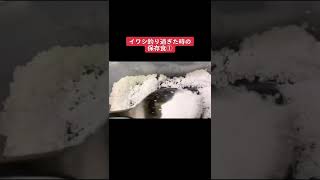 【海賊賄い飯/釣れ過ぎてしまったカタクチイワシの保存食②】#検見川浜突堤 #サビキ釣り #魚釣り