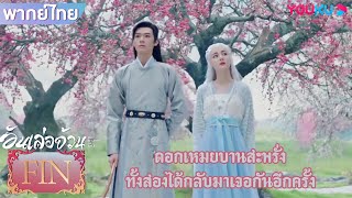 FIN | ดอกเหมยบานสะพรั่ง ทั้งสองได้กลับมาเจอกันอีกครั้ง | อันเล่อจ้วน | YOUKU