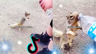 Amazing Hopecore Tiktoks 💕 Smilecore Positivity Tiktok Compilation