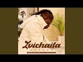 Zvichaita