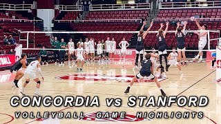 Stanford vs Concordia | Men's Volleyball Highlights