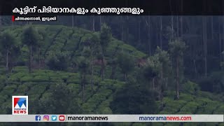 മയക്കുവെടിവയ്ക്കാൻ വനംവകുപ്പ് ; കാടും കുന്നും കയറിയിറങ്ങി അരിക്കൊമ്പന്‍ |Arikomban