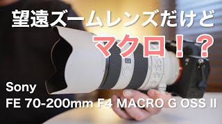 【SEL70200G2 レビュー&作例】ソニーからハーフマクロの望遠ズームレンズでた！1型と画質の比較してみた【FE 70-200mm F4 Macro G OSS II】