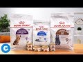 Royal Canin Feline Health Senior Cat Food | Chewy