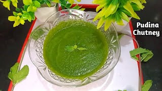 Pudina Chutney | Pudina Ki Chutney | 1 Month Store Hari Pudina ki Chatni | by nikshi kitchen