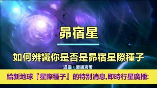 通靈信息【昴宿星】如何辨識你是否是昴宿星際種子；「昴宿星人說：給新地球『星際種子』的特別消息，即時行星廣播。」