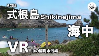 VR 海中 Gear360 式根島 中の浦海水浴場