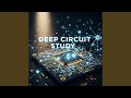 Deep Circuit Study