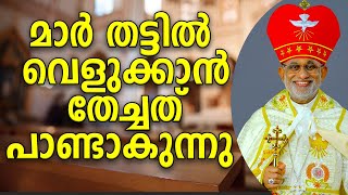 മാർ തട്ടിലിനെതിരെ നടപടി ,വത്തിക്കാൻ ഉറപ്പ് നൽകി , പാംപ്ലാനിഐക്കെതിരെയും നടപടിയുണ്ടാകും