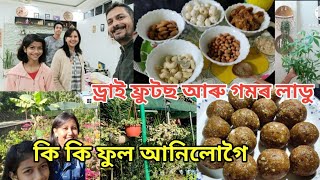 Vlog।। নাৰচাৰীৰ পৰা কি কি ফুল আনিলোগৈ।।ড্ৰাই ফ্ৰুটছ আৰু গম লাডুৰ ৰেচিপি#gond ladoo#dry fruits recipe