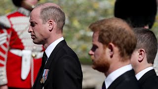 Prince William and Prince Harry Reunite at Prince Philip's Funeral
